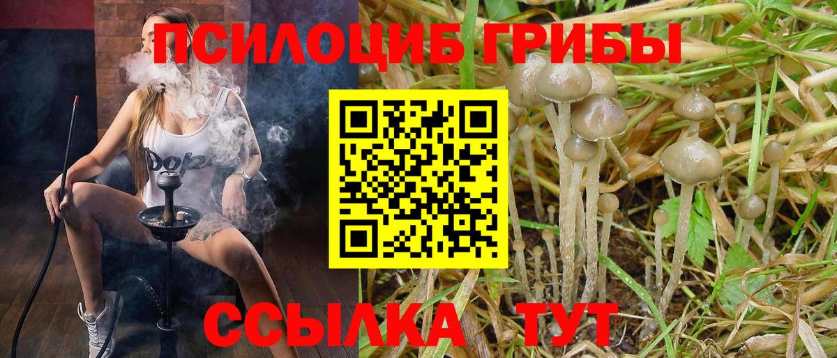 Галлюциногенные грибы мухоморы  Галлюциногенные грибы MAGIC MUSHROOMS  Вход с VPN  даркнет сайт  Сланцы 